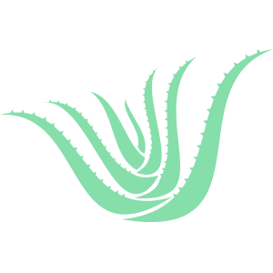 Icon of an aloe plant. Aloe vera doesn't work.